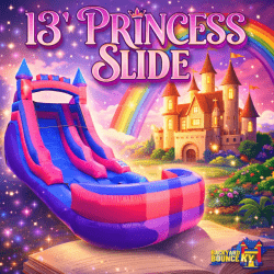 13 FT Princess Water/Dry Slide